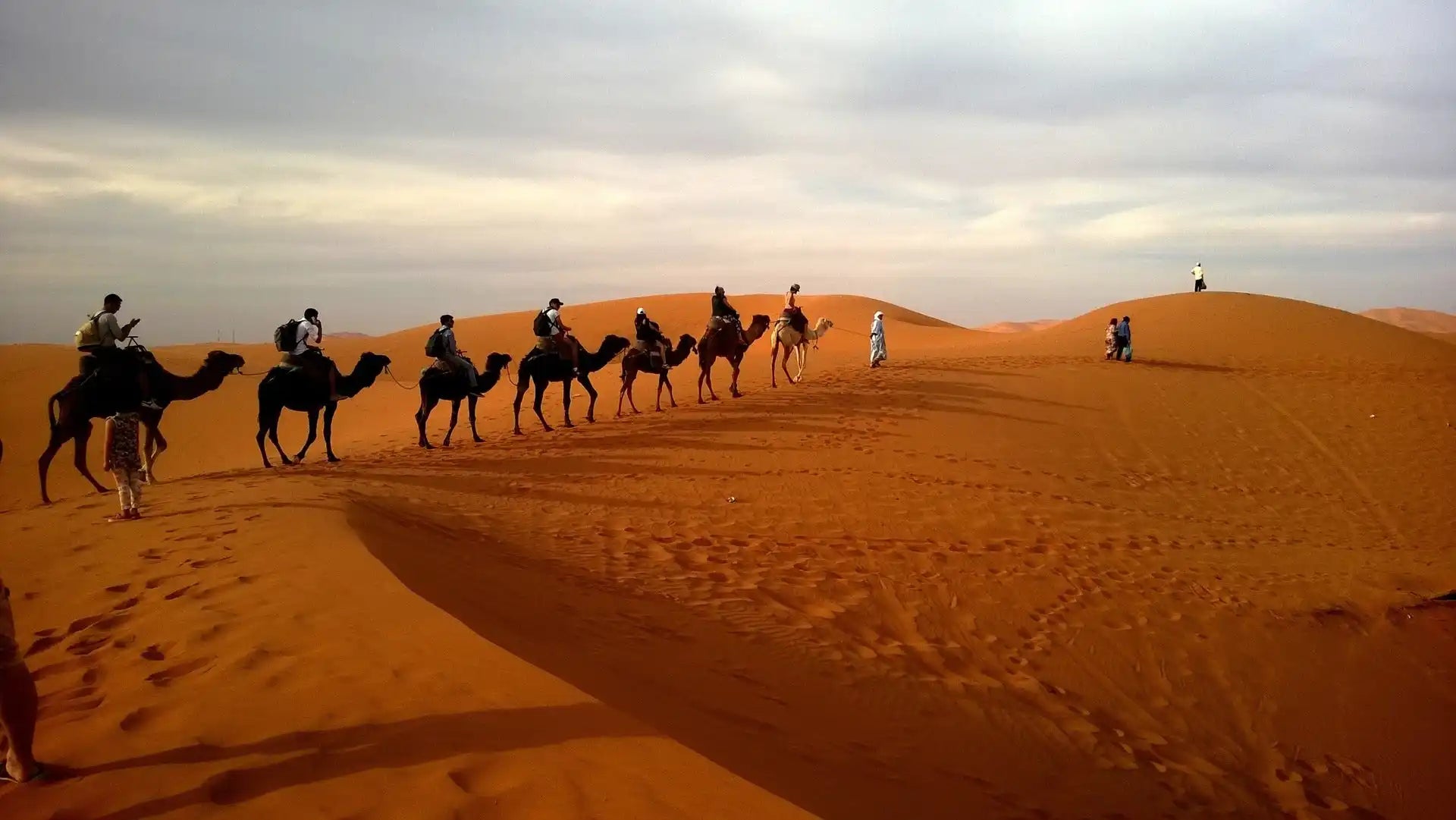 Camel caravan in desert.